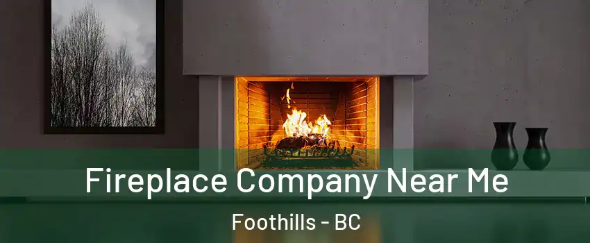  Fireplace Company Near Me Foothills - BC