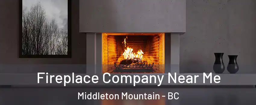 Fireplace Company Near Me Middleton Mountain - BC