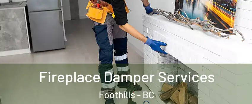 Fireplace Damper Services Foothills - BC