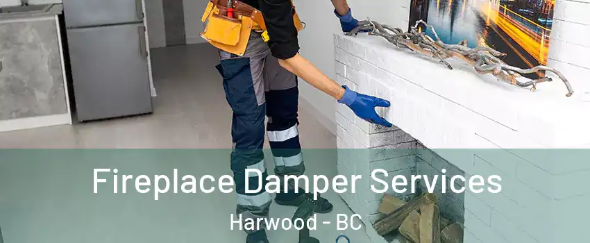 Fireplace Damper Services Harwood - BC
