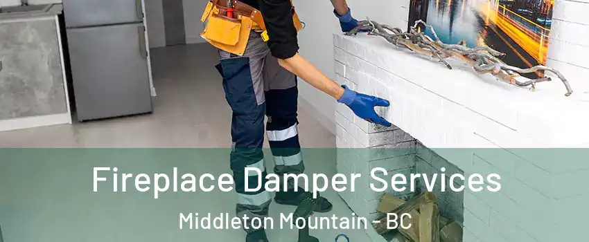 Fireplace Damper Services Middleton Mountain - BC