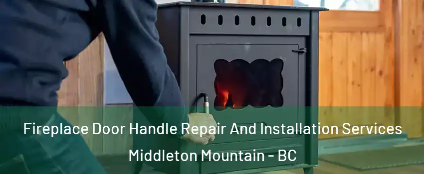 Fireplace Door Handle Repair And Installation Services Middleton Mountain - BC