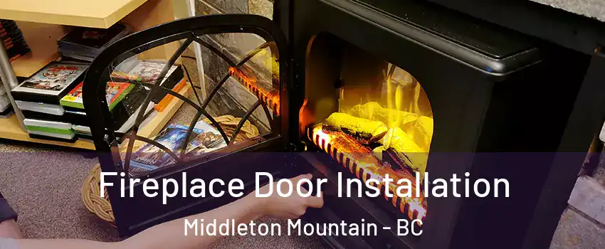 Fireplace Door Installation Middleton Mountain - BC