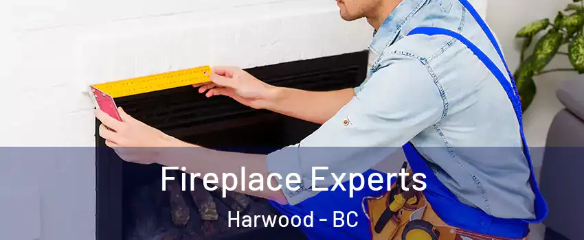  Fireplace Experts Harwood - BC