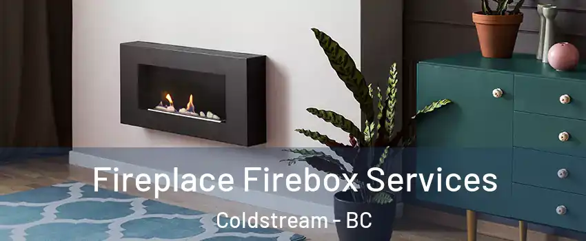  Fireplace Firebox Services Coldstream - BC