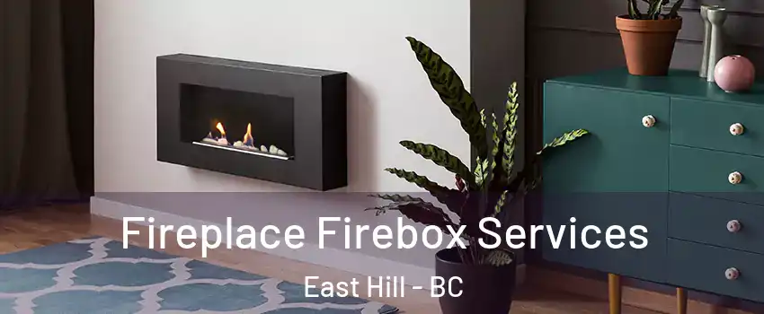  Fireplace Firebox Services East Hill - BC
