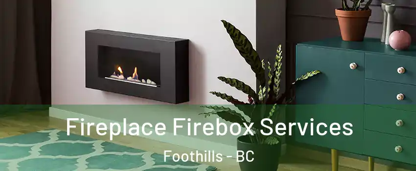  Fireplace Firebox Services Foothills - BC