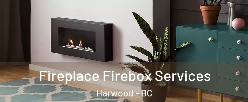  Fireplace Firebox Services Harwood - BC
