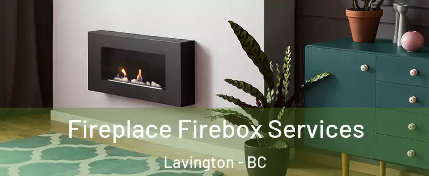  Fireplace Firebox Services Lavington - BC