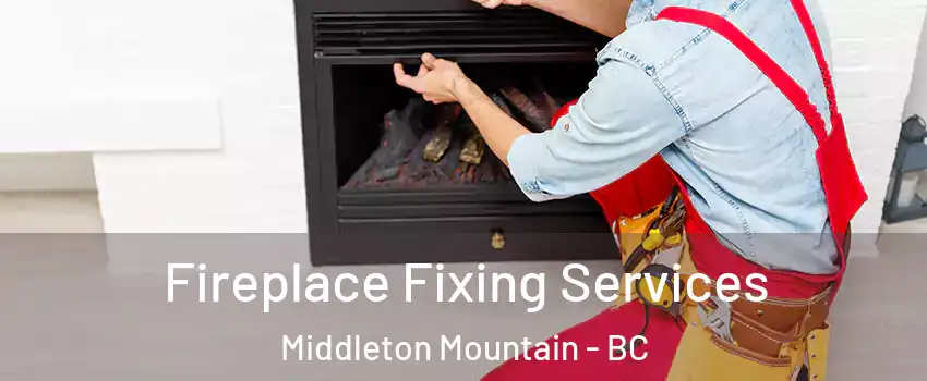  Fireplace Fixing Services Middleton Mountain - BC