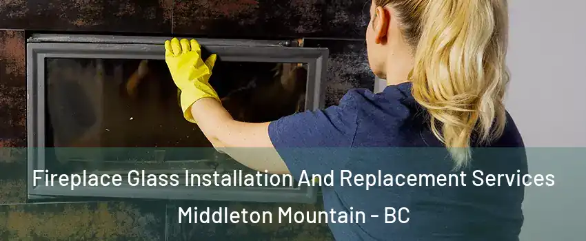  Fireplace Glass Installation And Replacement Services Middleton Mountain - BC