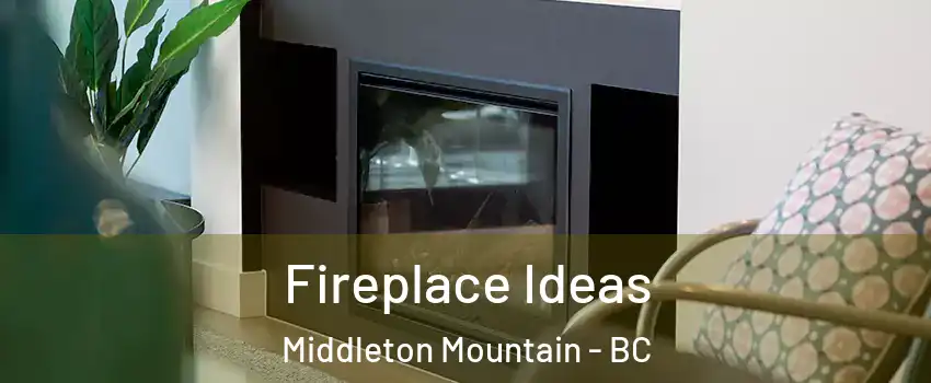 Fireplace Ideas Middleton Mountain - BC