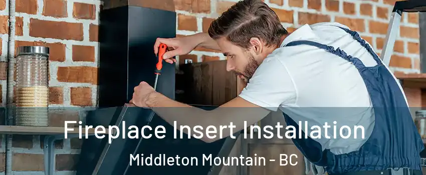  Fireplace Insert Installation Middleton Mountain - BC