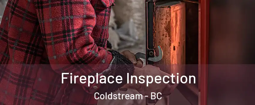  Fireplace Inspection Coldstream - BC