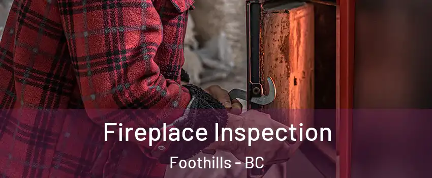 Fireplace Inspection Foothills - BC