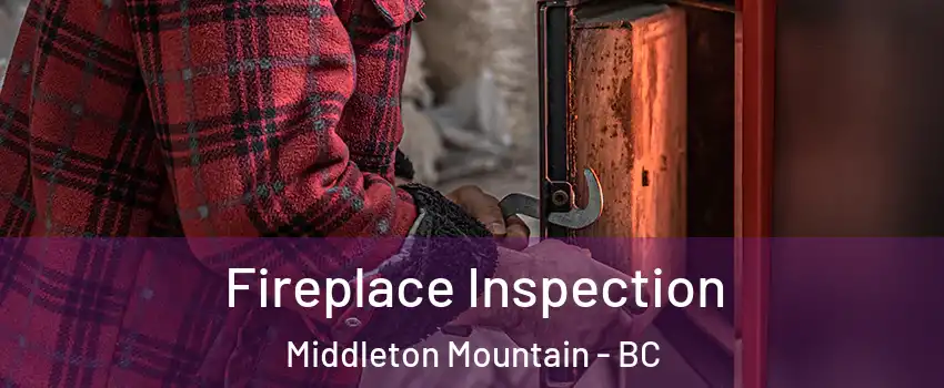  Fireplace Inspection Middleton Mountain - BC