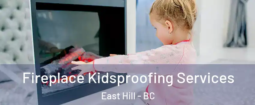  Fireplace Kidsproofing Services East Hill - BC