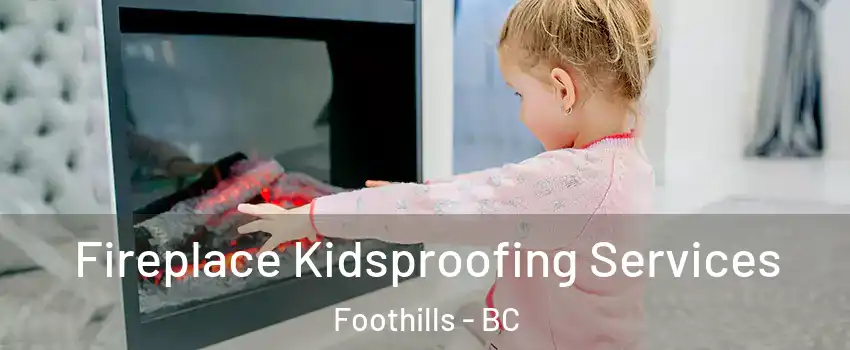  Fireplace Kidsproofing Services Foothills - BC