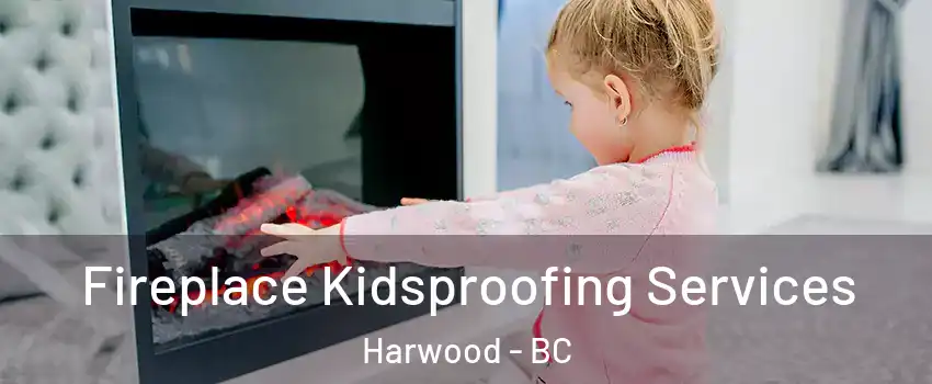  Fireplace Kidsproofing Services Harwood - BC