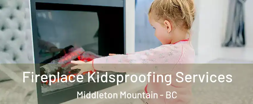  Fireplace Kidsproofing Services Middleton Mountain - BC