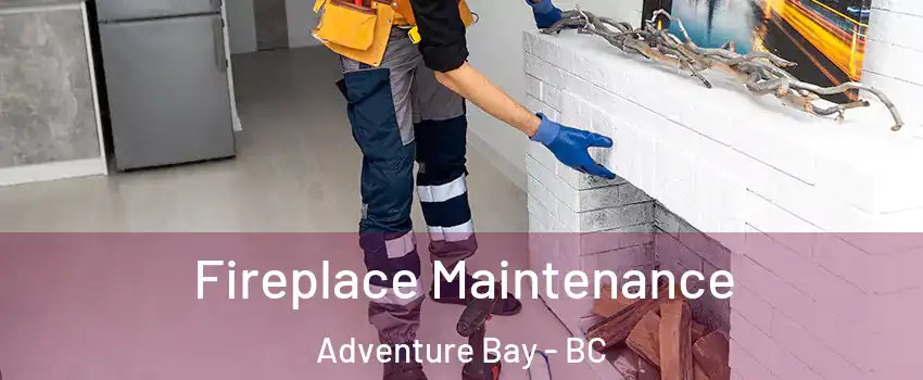  Fireplace Maintenance Adventure Bay - BC