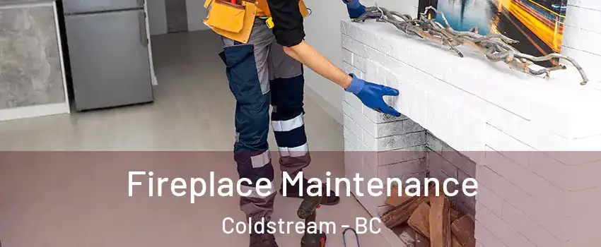  Fireplace Maintenance Coldstream - BC