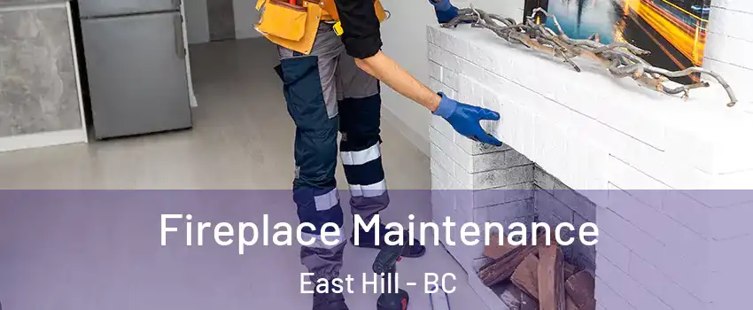  Fireplace Maintenance East Hill - BC