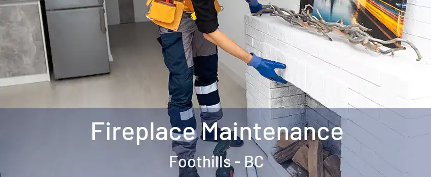  Fireplace Maintenance Foothills - BC
