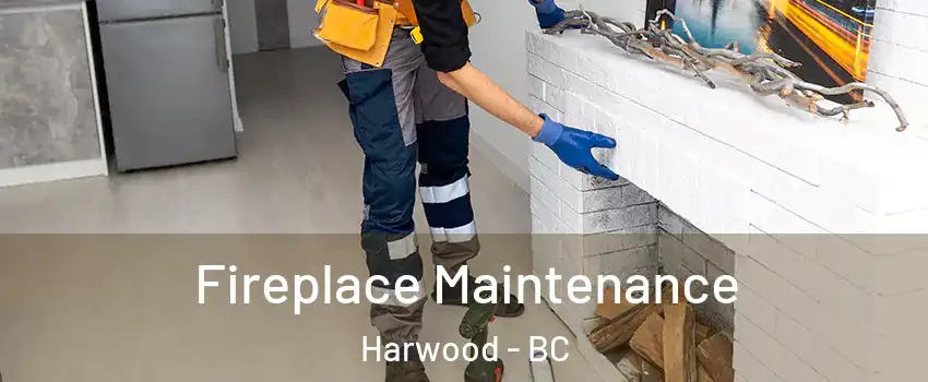  Fireplace Maintenance Harwood - BC
