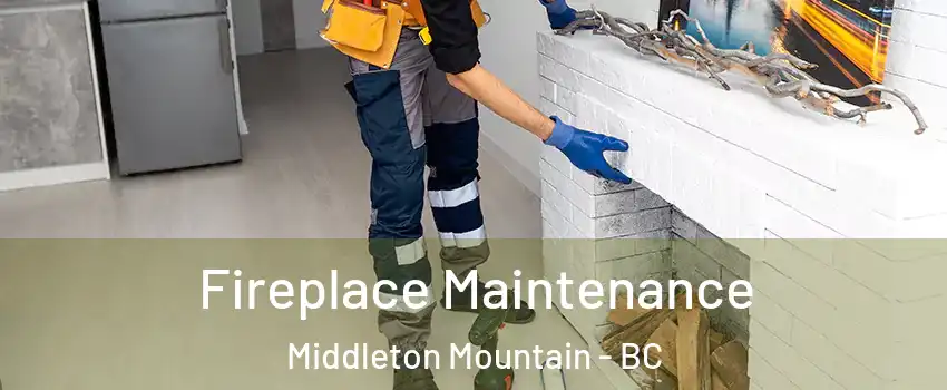  Fireplace Maintenance Middleton Mountain - BC