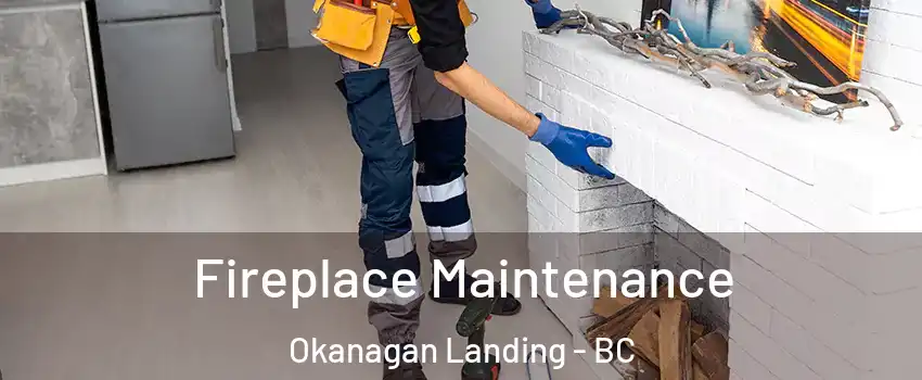  Fireplace Maintenance Okanagan Landing - BC