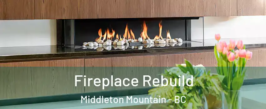  Fireplace Rebuild Middleton Mountain - BC
