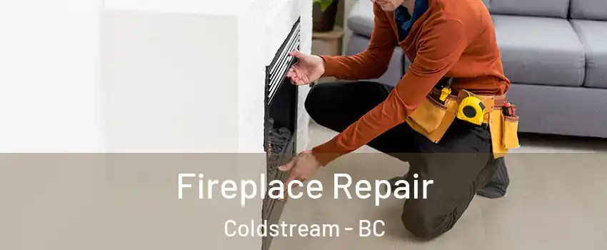  Fireplace Repair Coldstream - BC