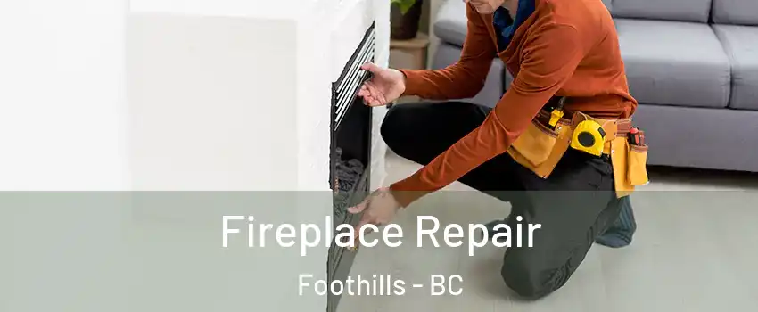  Fireplace Repair Foothills - BC
