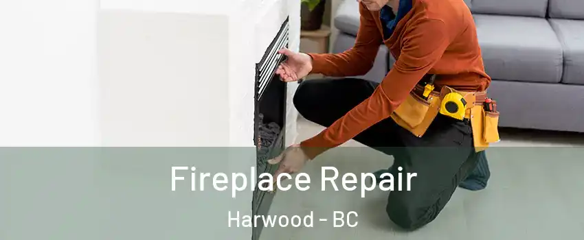  Fireplace Repair Harwood - BC