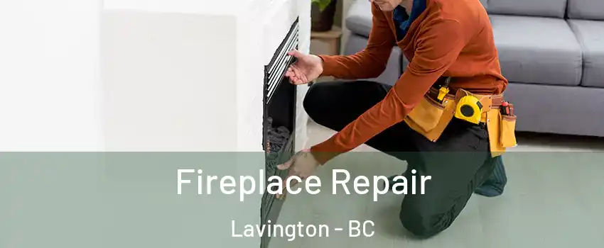  Fireplace Repair Lavington - BC