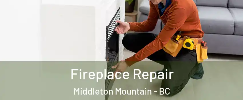  Fireplace Repair Middleton Mountain - BC