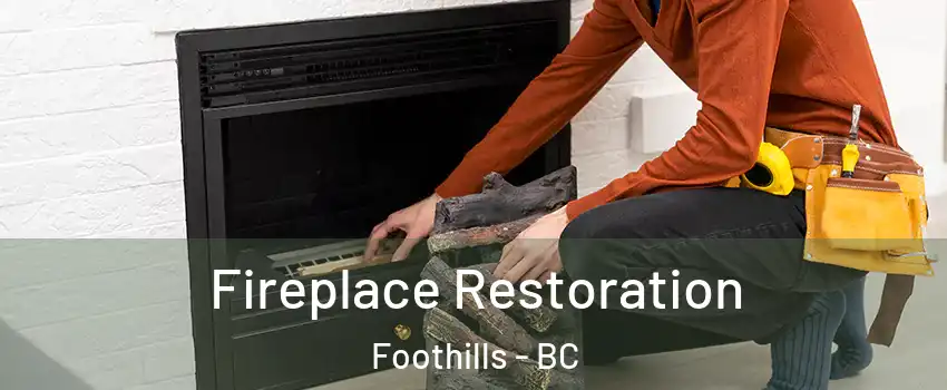  Fireplace Restoration Foothills - BC