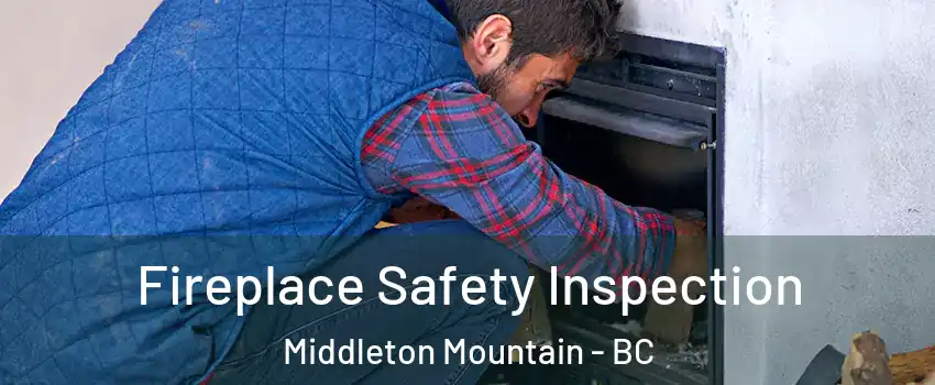 Fireplace Safety Inspection Middleton Mountain - BC