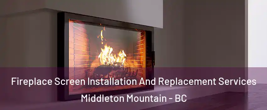 Fireplace Screen Installation And Replacement Services Middleton Mountain - BC