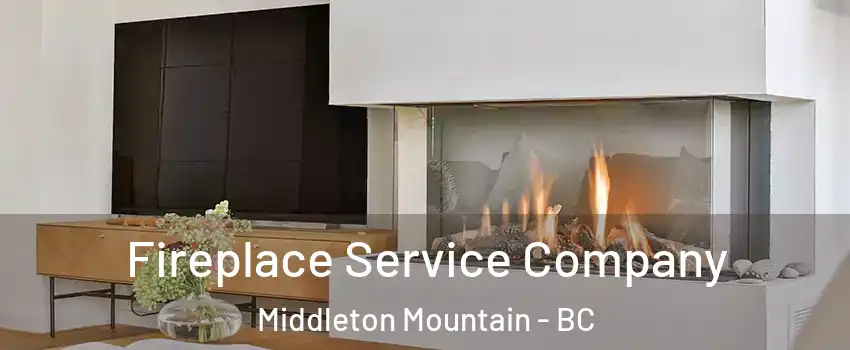 Fireplace Service Company Middleton Mountain - BC