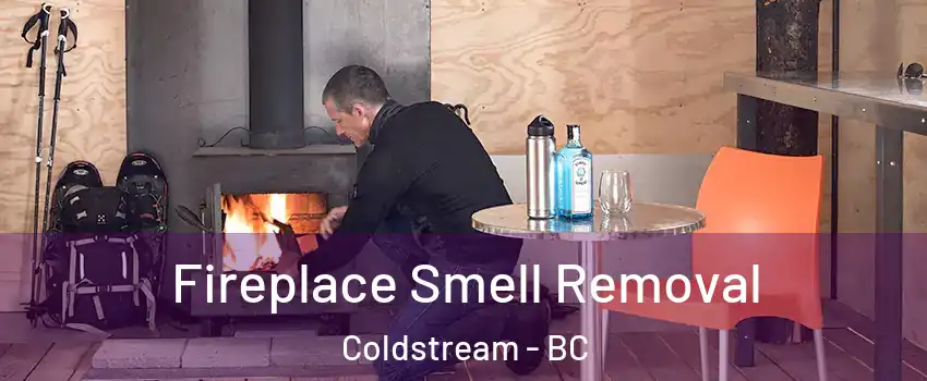  Fireplace Smell Removal Coldstream - BC