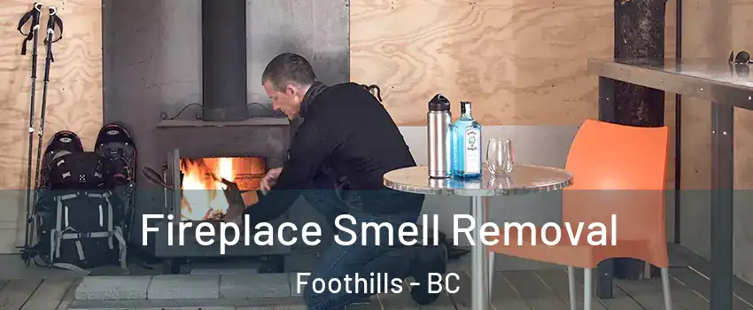  Fireplace Smell Removal Foothills - BC