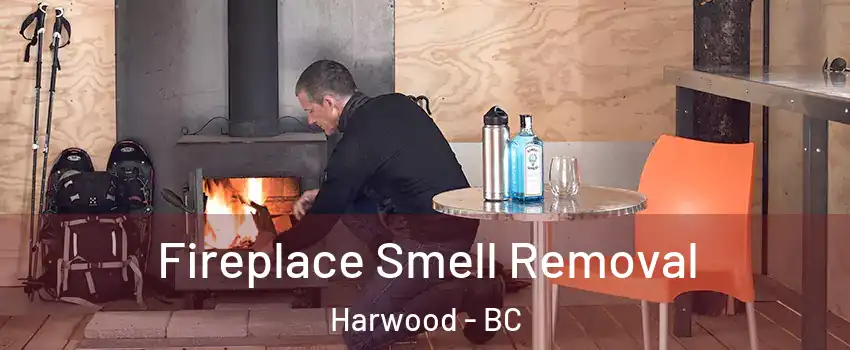  Fireplace Smell Removal Harwood - BC