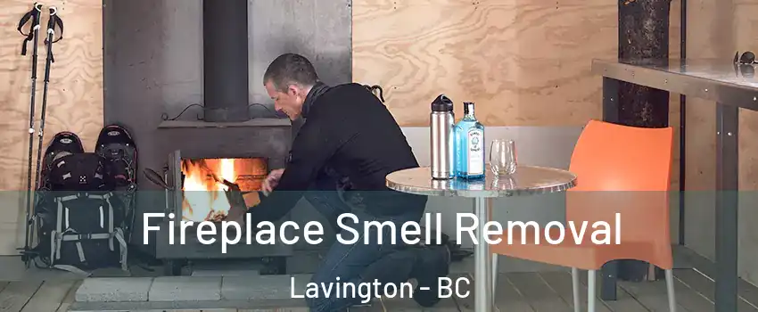  Fireplace Smell Removal Lavington - BC
