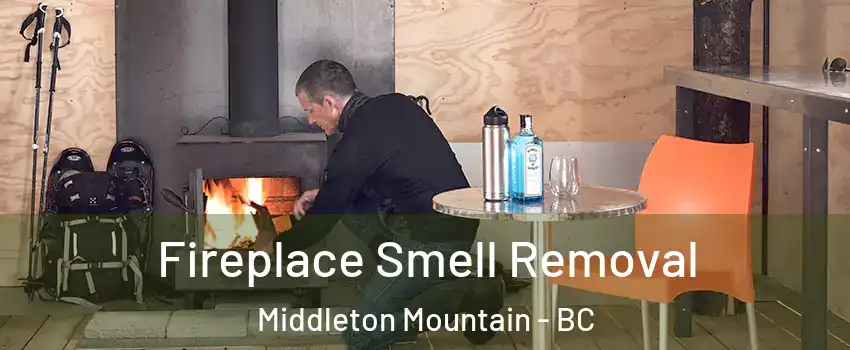  Fireplace Smell Removal Middleton Mountain - BC