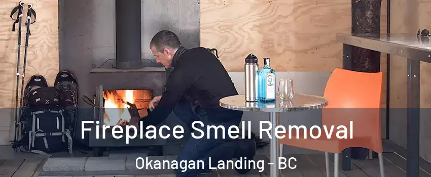  Fireplace Smell Removal Okanagan Landing - BC