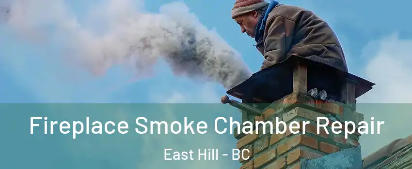  Fireplace Smoke Chamber Repair East Hill - BC