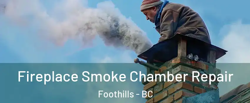  Fireplace Smoke Chamber Repair Foothills - BC
