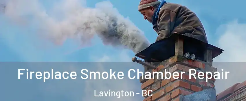  Fireplace Smoke Chamber Repair Lavington - BC
